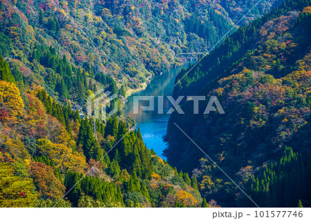 秋の紅葉に染まる蘇陽峡風景(長崎鼻展望台)風景　(熊本県山都町長崎) 101577746