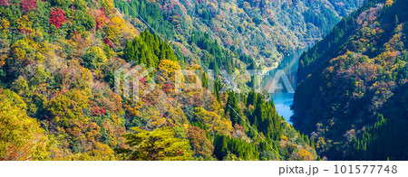 秋の紅葉に染まる蘇陽峡風景(長崎鼻展望台)風景　(熊本県山都町長崎) 101577748
