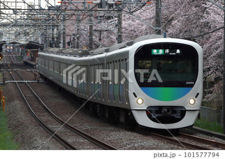 桜と西武新宿線30000系（準急-10両編成：西武新宿⇔拝島） 101577794