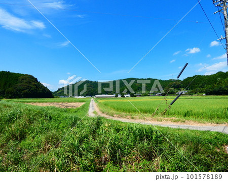 田んぼのある風景 - 絵画/タペストリ