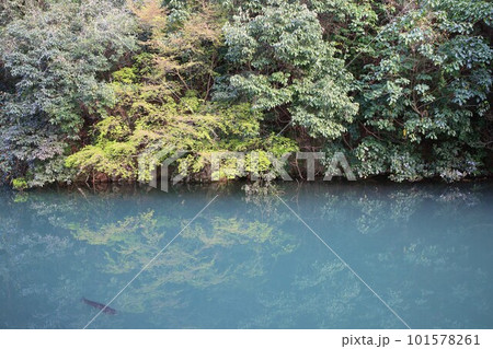 姫路城の水堀 101578261