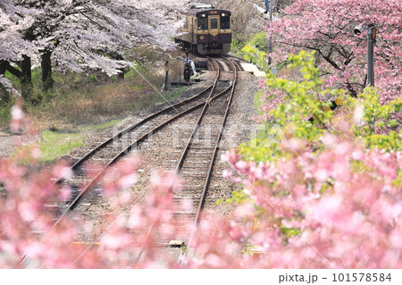わたらせ渓谷鐵道「桜咲く水沼駅から見た風景」 101578584