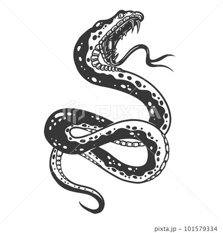 Illustration of poisonous snake in engraving...のイラスト素材 [101579334] - PIXTA