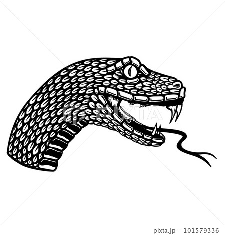 Illustration of head of poisonous snake in engraving style. Design element for logo, label, emblem, sign, badge. Vector illustration Illustration of head of poisonous snake in engraving style. Design element for logo, label, emblem, sign, badge. Vector illustration 101579336