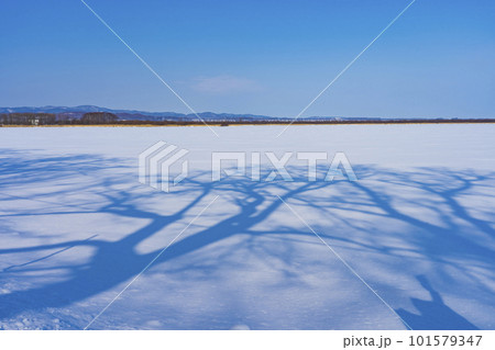 冬の網走湖 凍結した湖面に映る青空 101579347