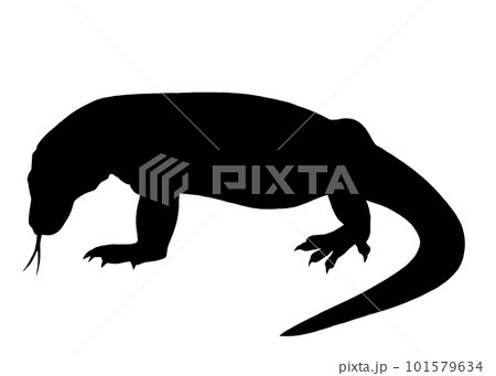 コモドドラゴンのシルエットイラスト 101579634