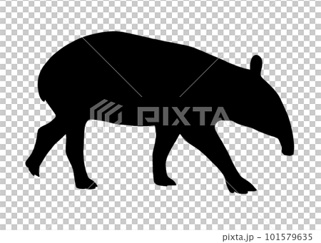 馬來貘剪影圖 101579635