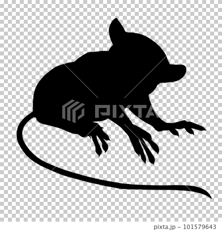 Tarsier silhouette illustration 101579643