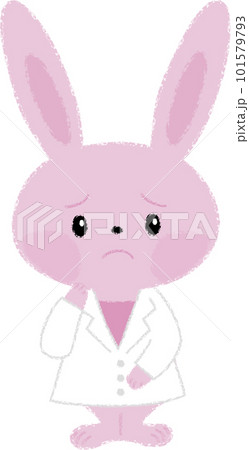 困っている白衣を着たうさぎ 101579793