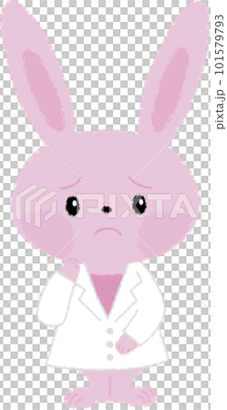困っている白衣を着たうさぎ 101579793