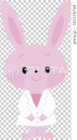 白衣を着た笑顔のうさぎ 白衣を着た笑顔のうさぎ 101579794