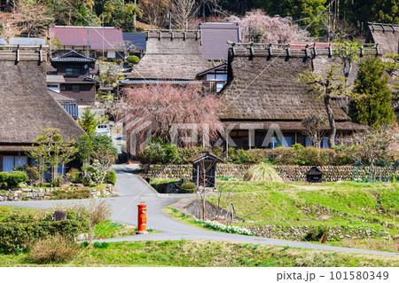 日本の原風景　京都美山　かやぶきの里の春景色 101580349