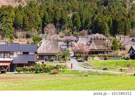 日本の原風景 京都美山 かやぶきの里の春景色 日本の原風景 京都美山 かやぶきの里の春景色 101580352