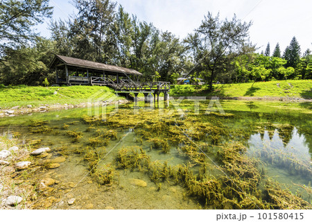 Beautiful view of Pipa Lake at Taitung Forest Park in Taiwan. The scenic Pipa Lake is a habitat of aquatic animals and plants. 101580415