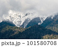 Mountain landscape, mountain pine on the stone with beautiful view on mountain cover with snow. 101580708