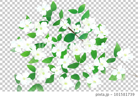 Hanamizuki flower card 3 101581739