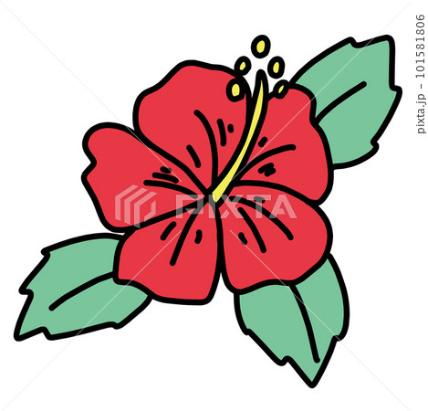 赤いハイビスカスのイラスト 101581806