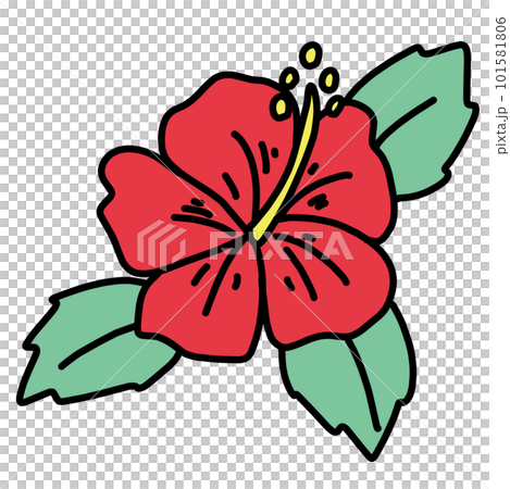 赤いハイビスカスのイラスト 101581806