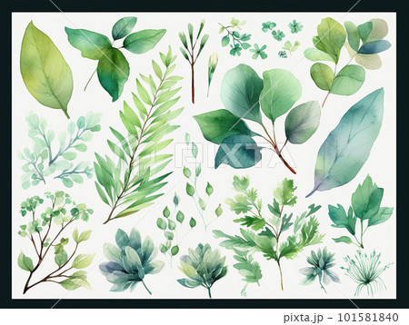 水彩で描いた緑色の葉っぱ 101581840