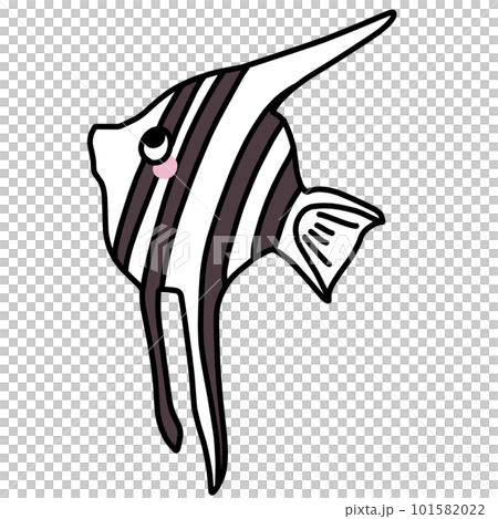 可愛神仙魚的彩色插圖 101582022