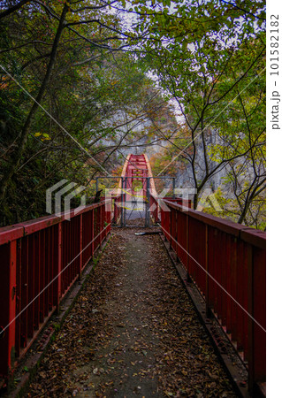 雌橋へつながる通行止めの橋 101582182