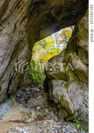 唐門の中から 唐門の中から 101582183