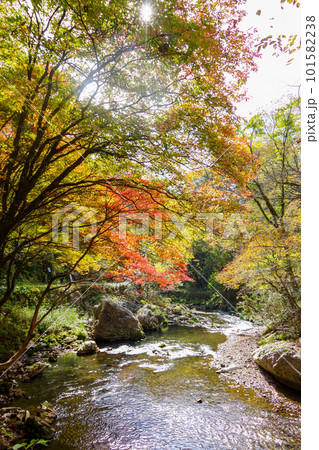 秋の帝釈峡の川 秋の帝釈峡の川 101582238