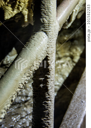 井倉洞の階段に生成されたマイクログール 101582283