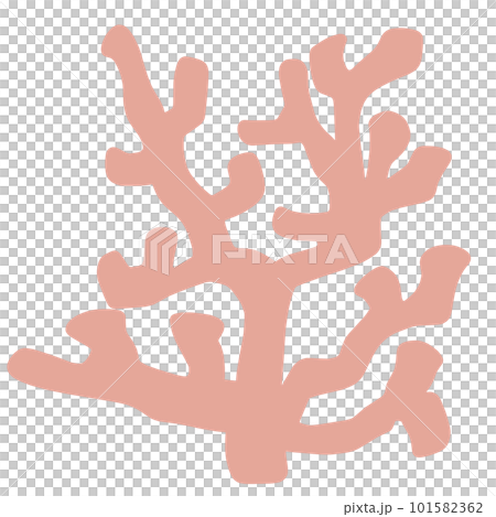 簡單珊瑚色無主線彩圖 101582362