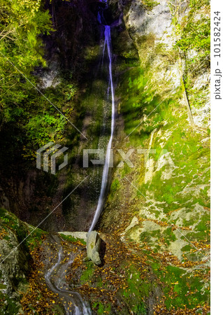 夜の紅葉と絹掛の滝 101582424