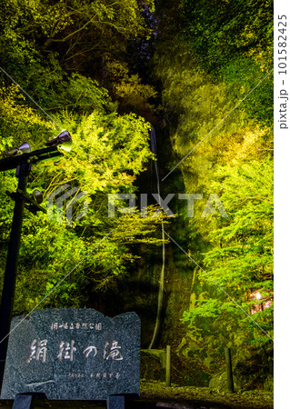 夜の紅葉と絹掛の滝 夜の紅葉と絹掛の滝 101582425