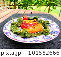 Red, yellow and green roasted mini peppers on plate. High quality photo 101582666