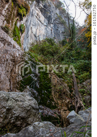 用瀬嶽フリークライミング広場裏の滝 101582750