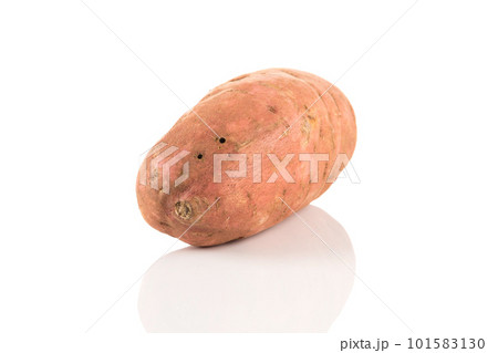 Sweet potato on the white background Sweet potato on the white background 101583130