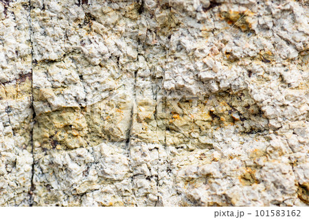 仙酔島の五色岩と溶結凝灰岩中のレンズ状片岩 仙酔島の五色岩と溶結凝灰岩中のレンズ状片岩 101583162