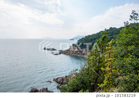 仙酔島の海岸 仙酔島の海岸 101583219