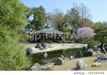 春の二条城　清流園の香雲亭　京都市中京区 101583438
