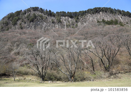 屛風岩公苑（国の天然記念物）【奈良県宇陀郡曽爾村】　　 101583856
