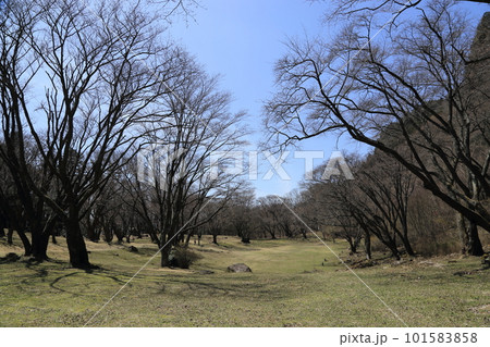 屛風岩公苑（国の天然記念物）【奈良県宇陀郡曽爾村】　　 101583858