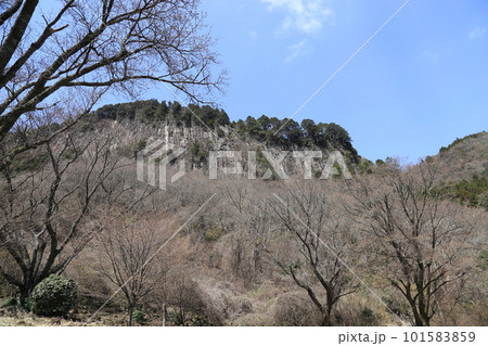 屛風岩公苑（国の天然記念物）【奈良県宇陀郡曽爾村】　　 101583859
