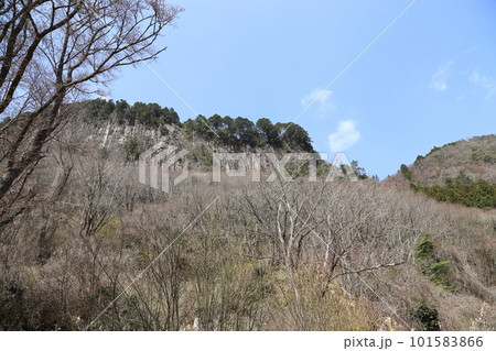 屛風岩公苑（国の天然記念物）【奈良県宇陀郡曽爾村】　　 101583866