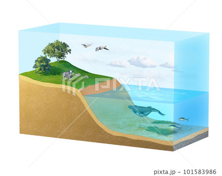 Biosphere diagram Biosphere diagram 101583986