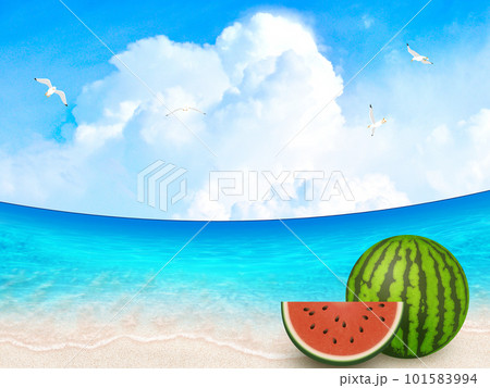 美しい海と夏空 101583994