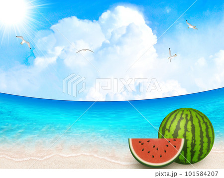 美しい海と夏空 101584207