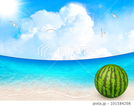 美しい海と夏空 101584208