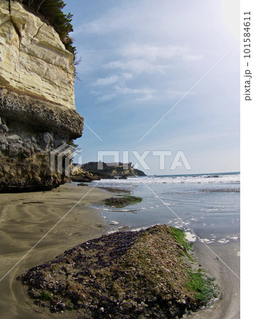 小豆浜(宮城県七ヶ浜町) 小豆浜(宮城県七ヶ浜町) 101584611