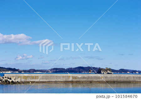 代ヶ崎浜の風景（宮城県七ヶ浜町） 101584670