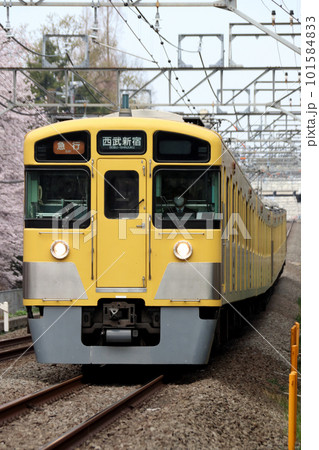 桜と西武新宿線2000系（急行-10両編成：西武新宿⇔本川越） 101584833