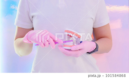 Woman dentist showing on an artificial jaw model how to clean the teeth with toothbrush properly. Woman dentist showing on an artificial jaw model how to clean the teeth with toothbrush properly. 101584868