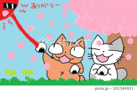 目が大きい猫の花見 101584931